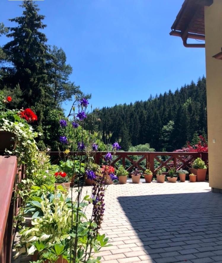 Chata Janet Martin Buitenkant foto